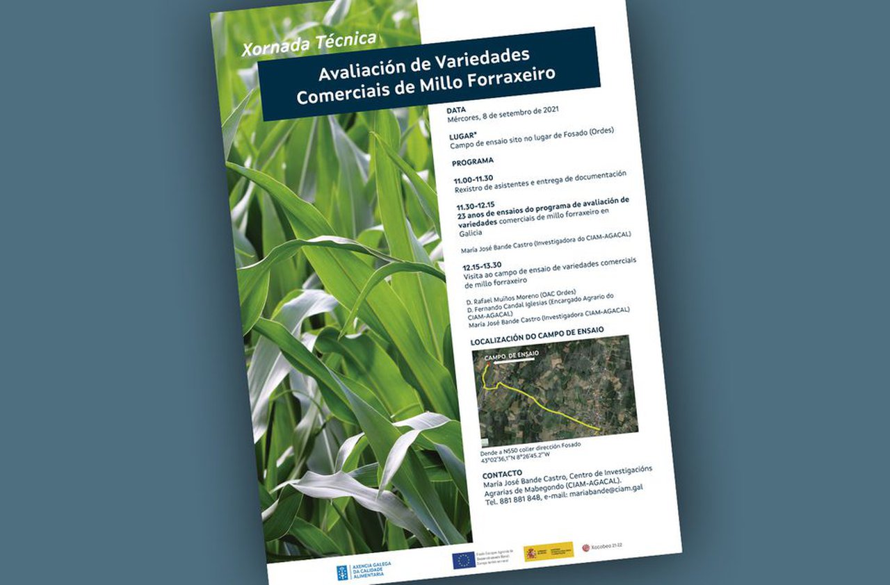 O CIAM organiza unha xornada sobre variedades de millo forraxeiro en Galicia este mércores