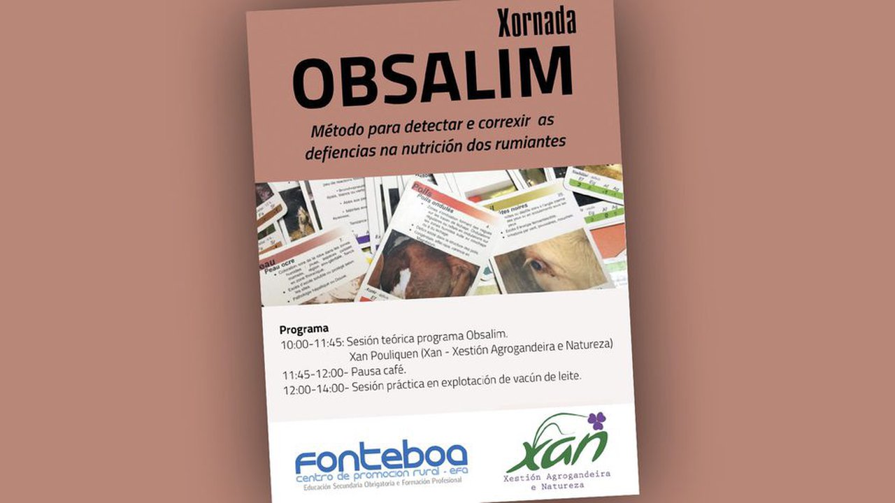 Fonteboa celebra mañá unha xornada sobre o programa Obsalim