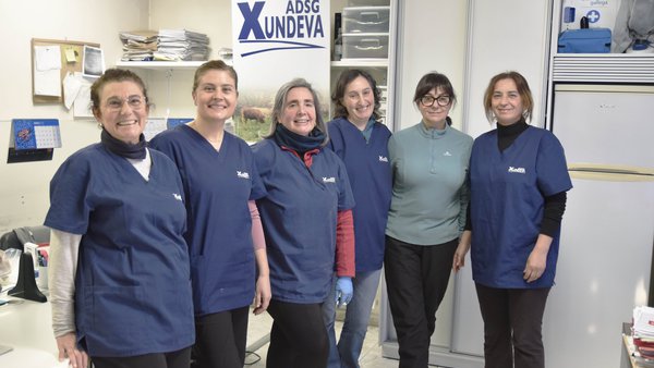 Xundeva: 20 anos velando pola sanidade gandeira no Deza