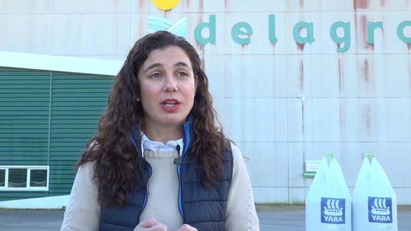 YaraBela™ NITROGRASS Se, o fertilizante de Yara que axuda ao teu gando a estar más san