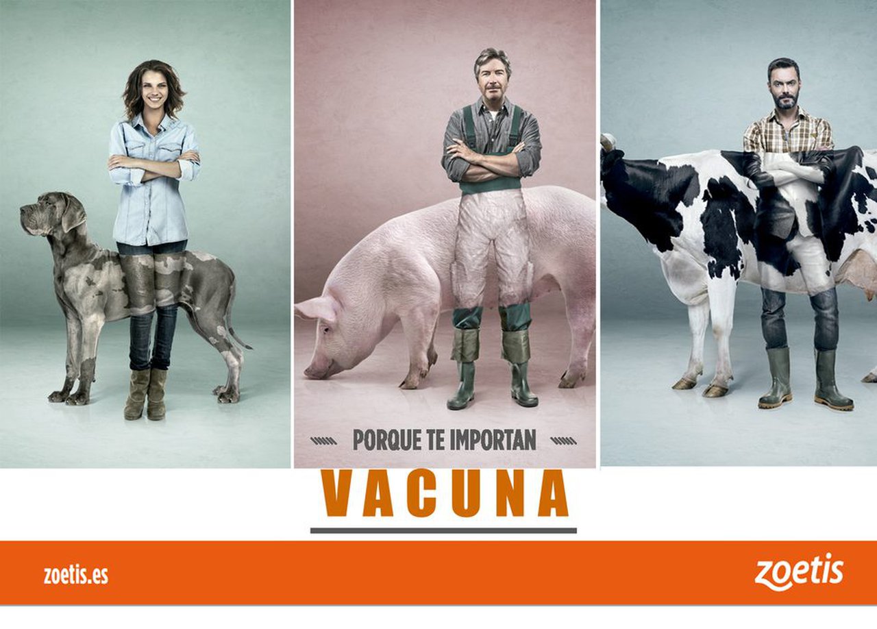 Zoetis conciencia sobre a importancia da vacinación dos animais e o seu impacto na saúde pública