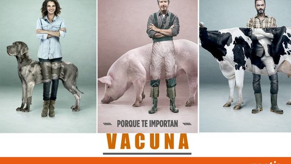 Zoetis conciencia sobre a importancia da vacinación dos animais e o seu impacto na saúde pública
