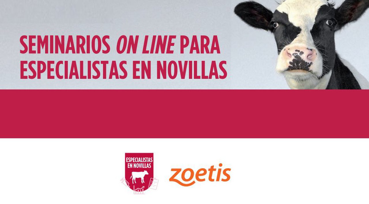Máis de 1.800 profesionais participaron nos seminarios online de Especialistas en Novillas en 2020