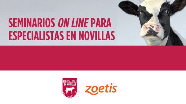 Máis de 1.800 profesionais participaron nos seminarios online de Especialistas en Novillas en 2020