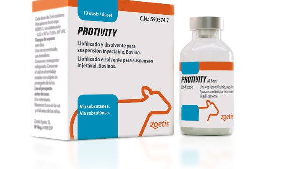 Zoetis lanza Protivity®, la primera vacuna viva modificada para proteger a los terneros contra la enfermedad respiratoria causada por M. bovis