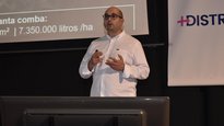 Aumentar el rendimiento en el maíz, ¿es posible?