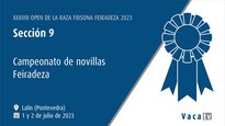 Campeonato de novillas Feiradeza