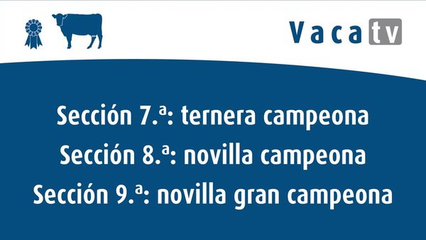 Volve a ver aquí as seccións de xatas e xonvecas!