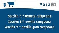 Campeonatos y gran campeona de terneras y novillas