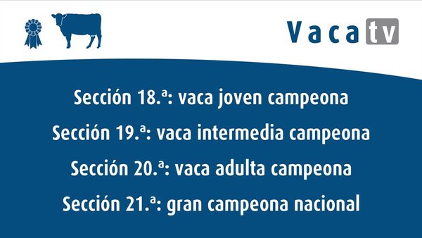 Campionato de vacas