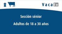 Sección sénior
