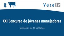 Sección 2. Entre 16 y 20 años