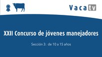 Sección 3. De 10 a 15 años