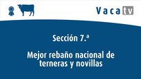 Mejor rebaño y mejor criador nacionales de terneras y novillas