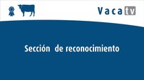 Sección de reconocimiento