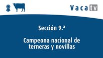 Campeona nacional de terneras y novillas