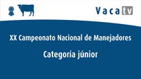 Categoría Júnior