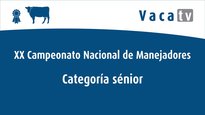 Categoría Sénior