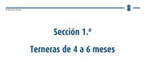 Terneras de 4 a 6 meses