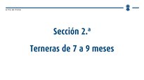 Terneras de 7 a 9 meses