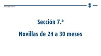 Novillas de 24 a 30 meses