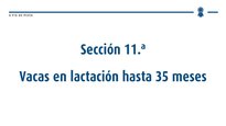Vacas en lactación hasta 35 meses