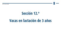 Vacas en lactación de 3 años
