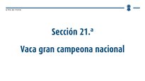 Vaca gran campeona nacional