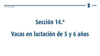 Vacas en lactación de 5 y 6 años