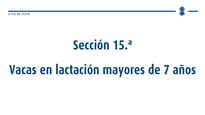 Vacas en lactación mayores de 7 años