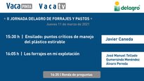 Rolda final de preguntas