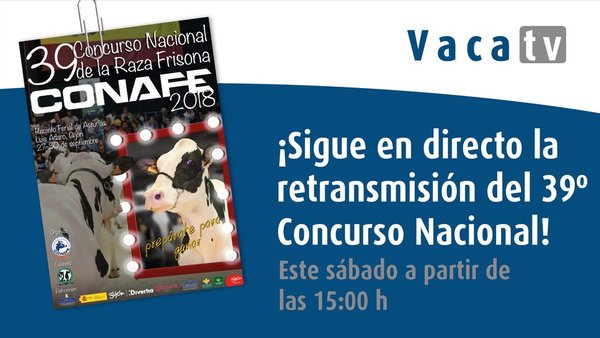 Vaca Pinta, en directo dende Xixón!