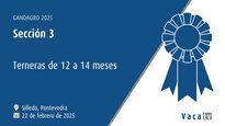 Xatas de 12 a 14 meses