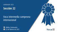 Vaca intermedia campiona internacional