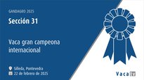 Vaca gran campiona internacional