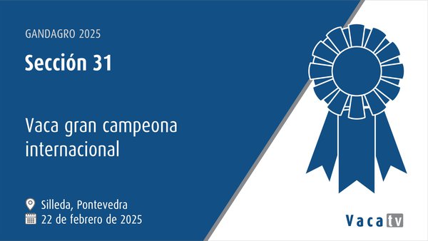 Vaca gran campiona internacional
