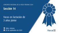 Vacas en lactación de 3 anos júnior