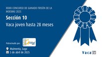 Vaca nova ata 28 meses