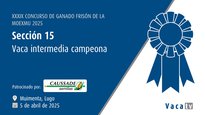 Vaca intermedia campiona