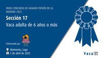 Vaca adulta de 6 anos ou máis