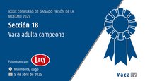 Vaca adulta campiona