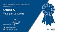 Vaca gran campiona