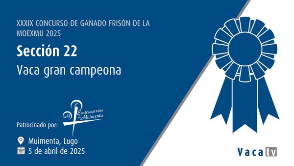 Vaca gran campiona