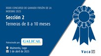Xatas de 8 a 10 meses