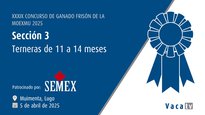 Xatas de 11 a 14 meses