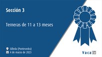 Sección 3. Xatas de 11 a 13 meses