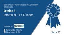 Terneras de 11 a 13 meses