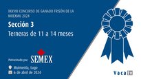 Xatas de 11 a 14 meses