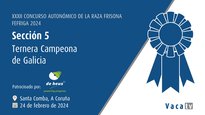 Ternera campeona de Galicia