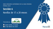 Novillas de 17 a 20 meses